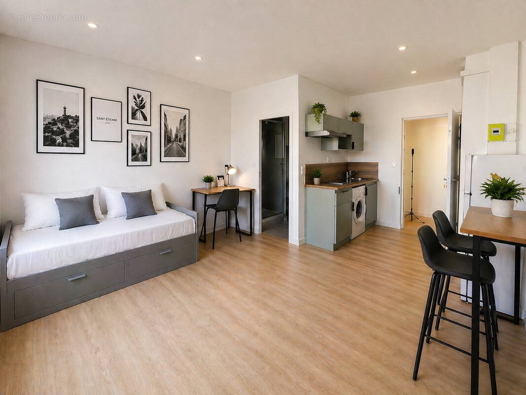 Appartement à vendre, 22m², Saint-Etienne
