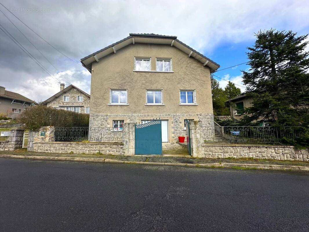 Maison à vendre, 162m², Tence