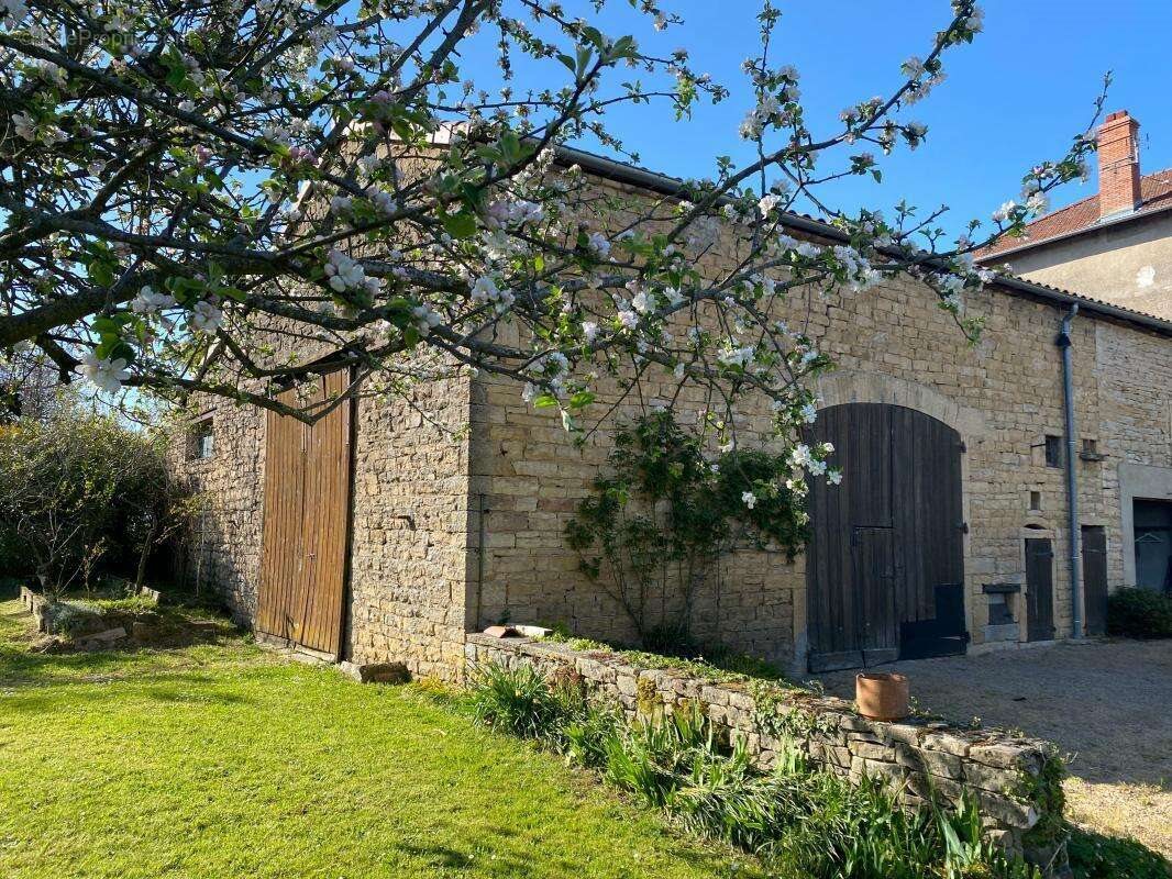 Maison à vendre, 221m², Senozan