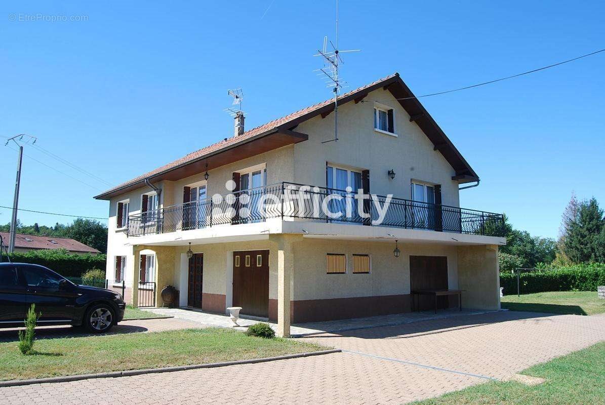 Maison à vendre, 275m², Néronde-sur-Dore