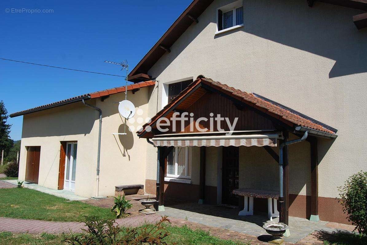 Maison à vendre, 275m², Néronde-sur-Dore