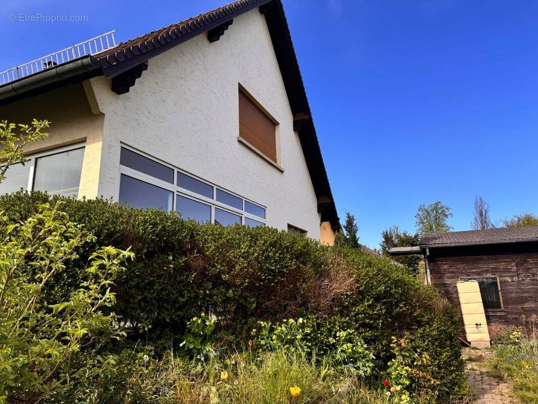 Maison à vendre, 330m², Lingolsheim