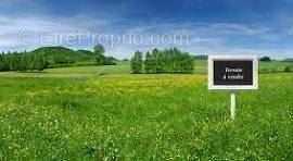 Advert pic 0