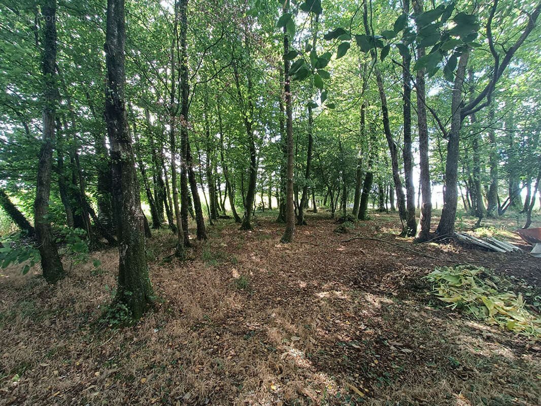 Maison à vendre, 173m², Languidic