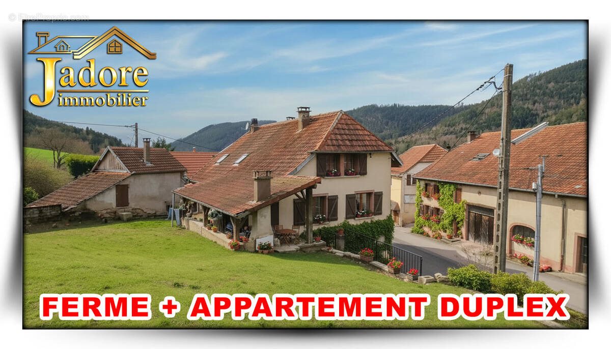 Maison à vendre, 181m², Raon-sur-Plaine