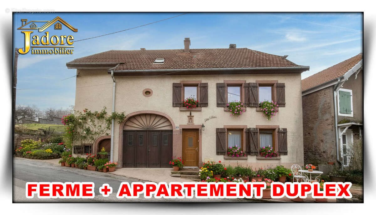 Maison à vendre, 181m², Raon-sur-Plaine