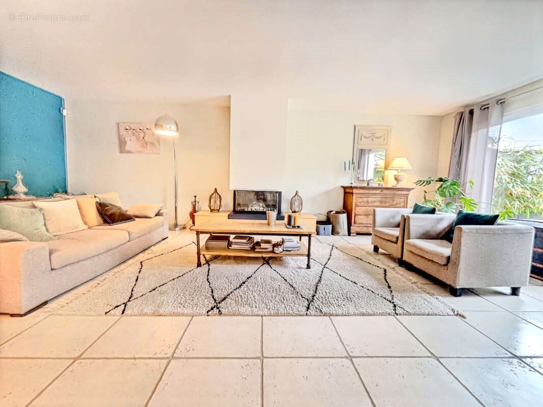 Maison à vendre, 310m², Brison-Saint-Innocent