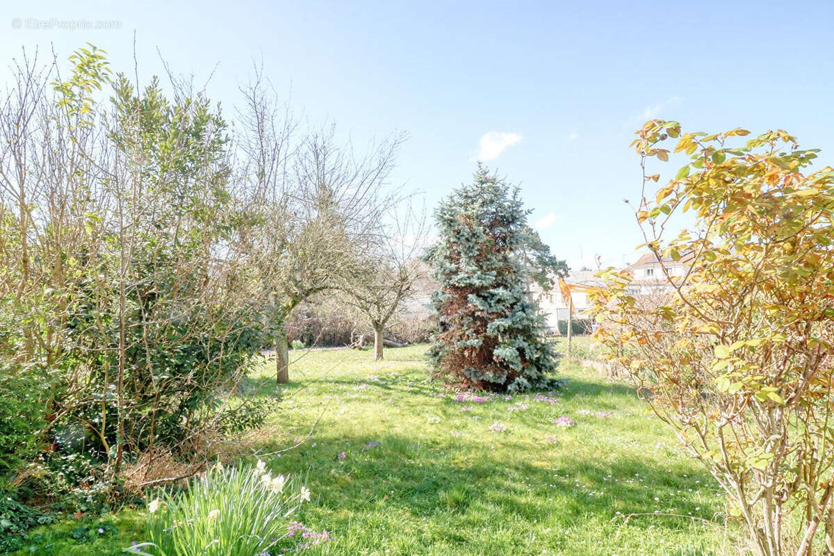 Maison à vendre, 55m², Antony