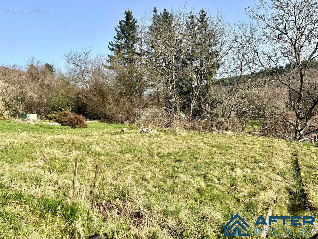 Appartement à vendre, 69m², Moyenmoutier
