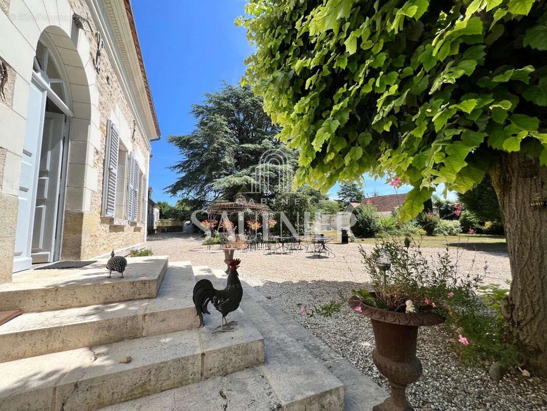 Maison à vendre, 450m², Francueil