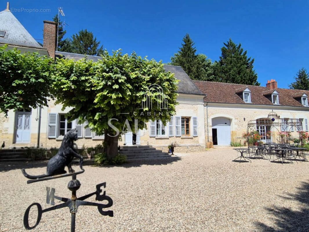 Maison à vendre, 450m², Francueil
