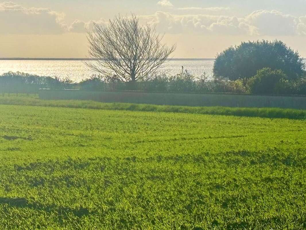 Maison à vendre, 106m², Chenac-Saint-Seurin-d'Uzet