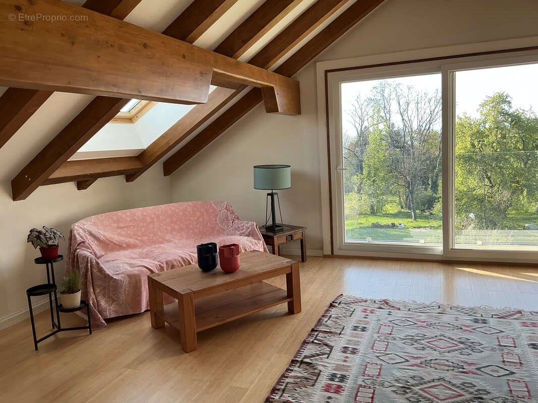 Maison à vendre, 300m², Saint-Paul-en-Chablais