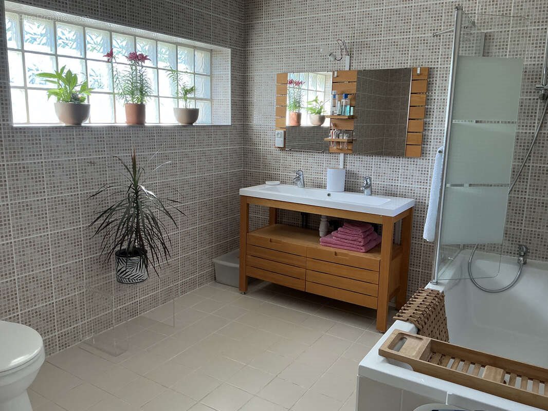 Maison à vendre, 300m², Saint-Paul-en-Chablais