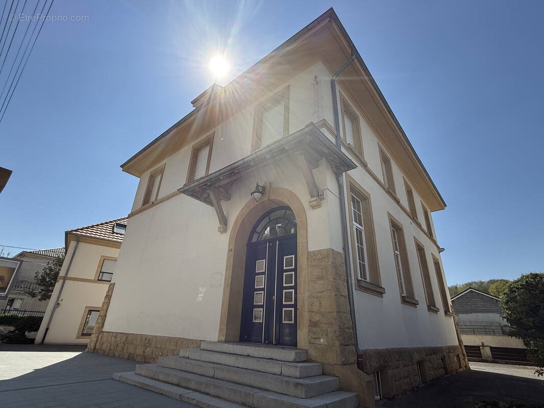 Maison à vendre, 360m², Châtel-Saint-Germain