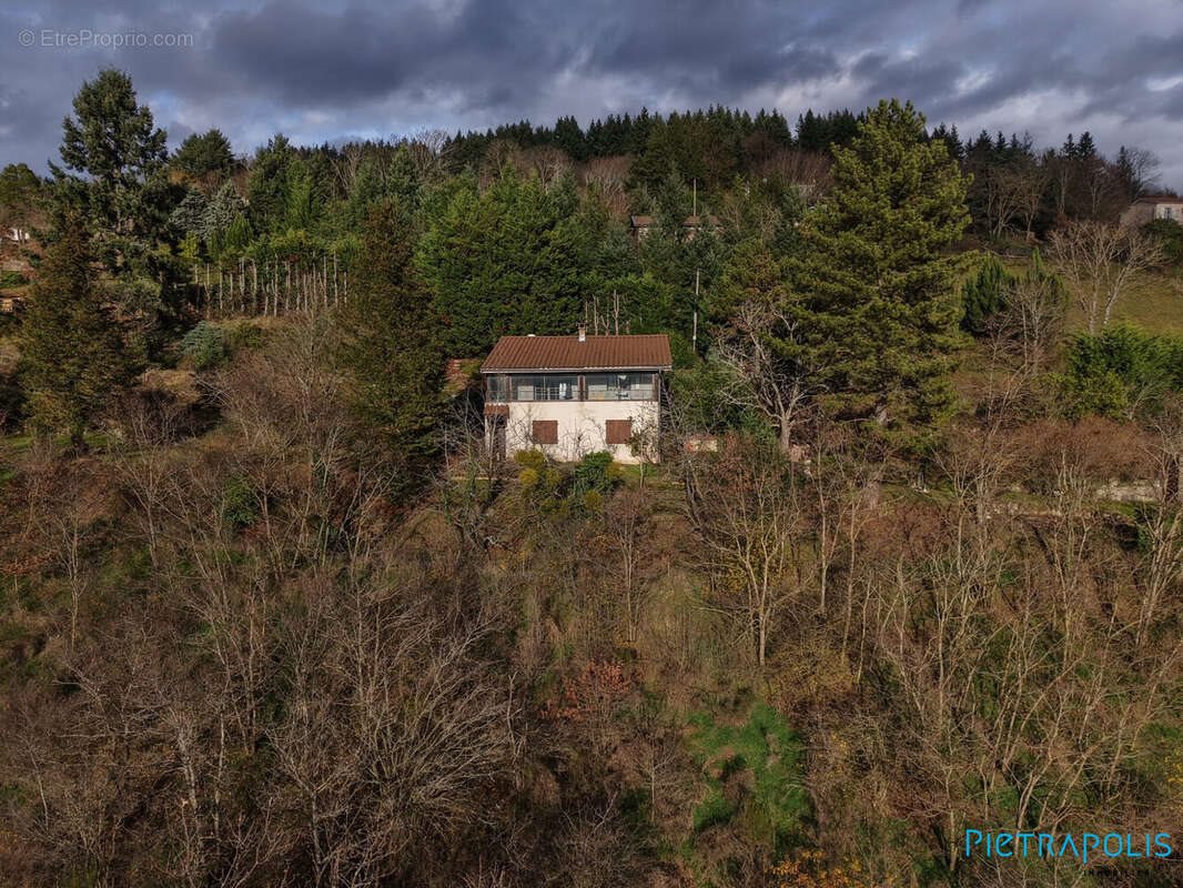 Maison à vendre, 95m², Saint-Clément-sur-Valsonne