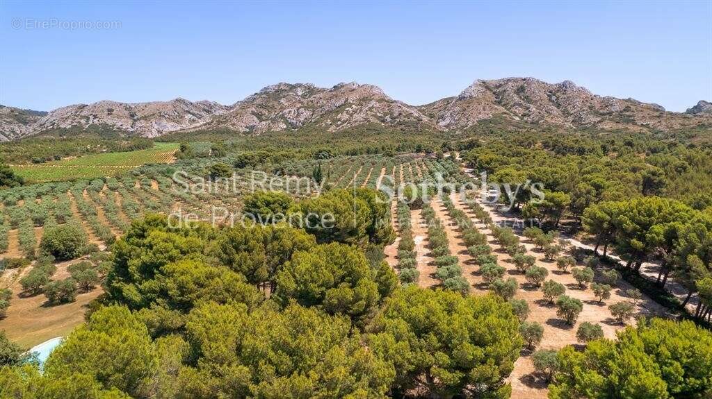 Maison à vendre, 500m², Maussane-les-Alpilles
