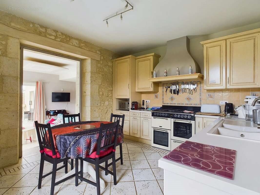 Maison à vendre, 356m², Saint-Puy