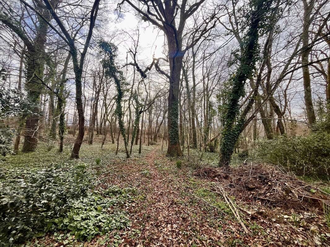 Maison à vendre, 158m², Bergerac