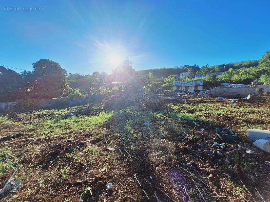 Maison à vendre, 680m², Saint-Paul