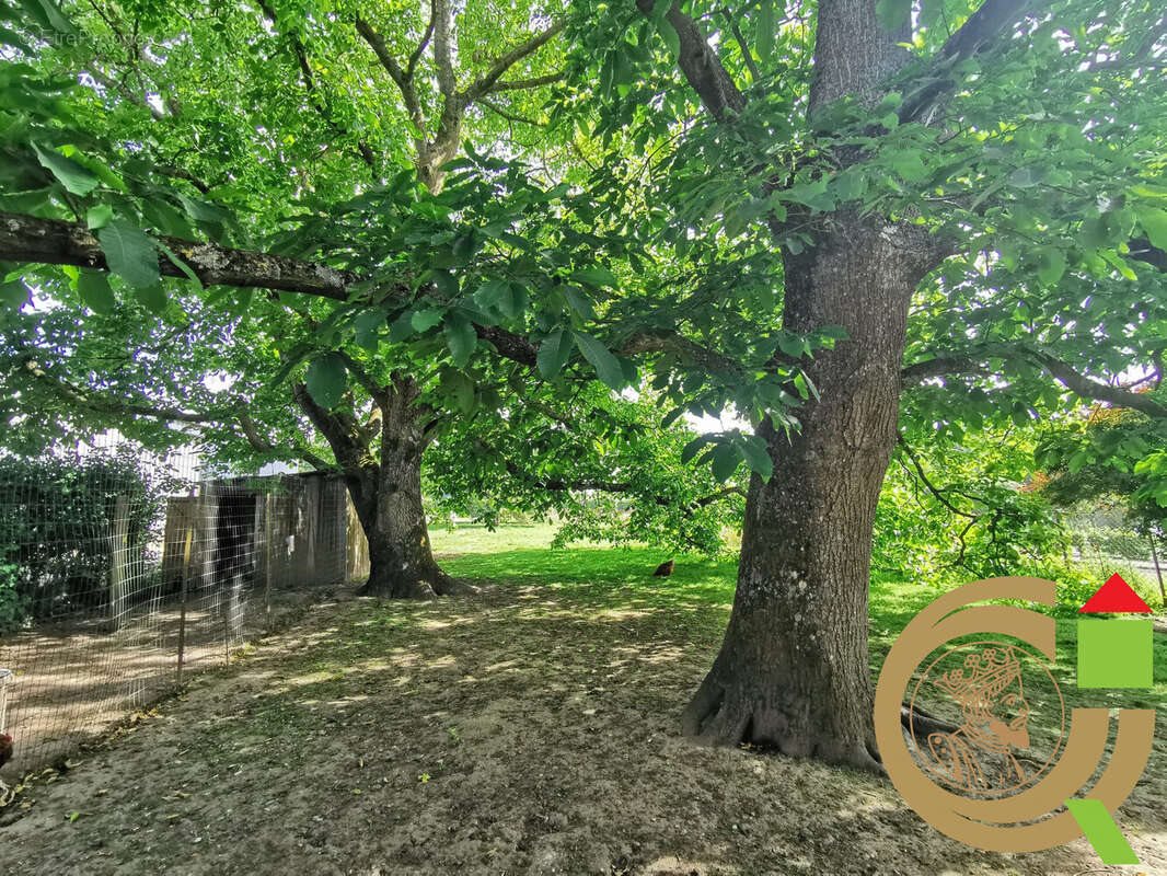 Maison à vendre, 230m², Blangy-sur-Ternoise