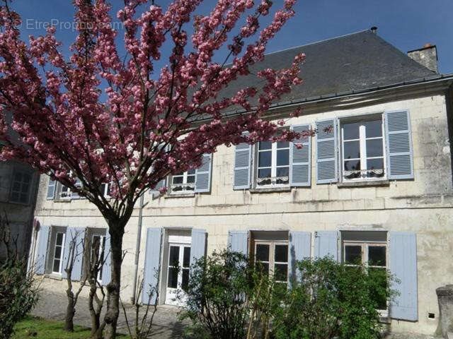 Maison à vendre, 340m², Loches