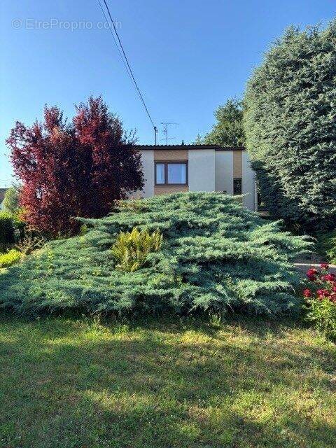 Maison à vendre, 126m², Mundolsheim