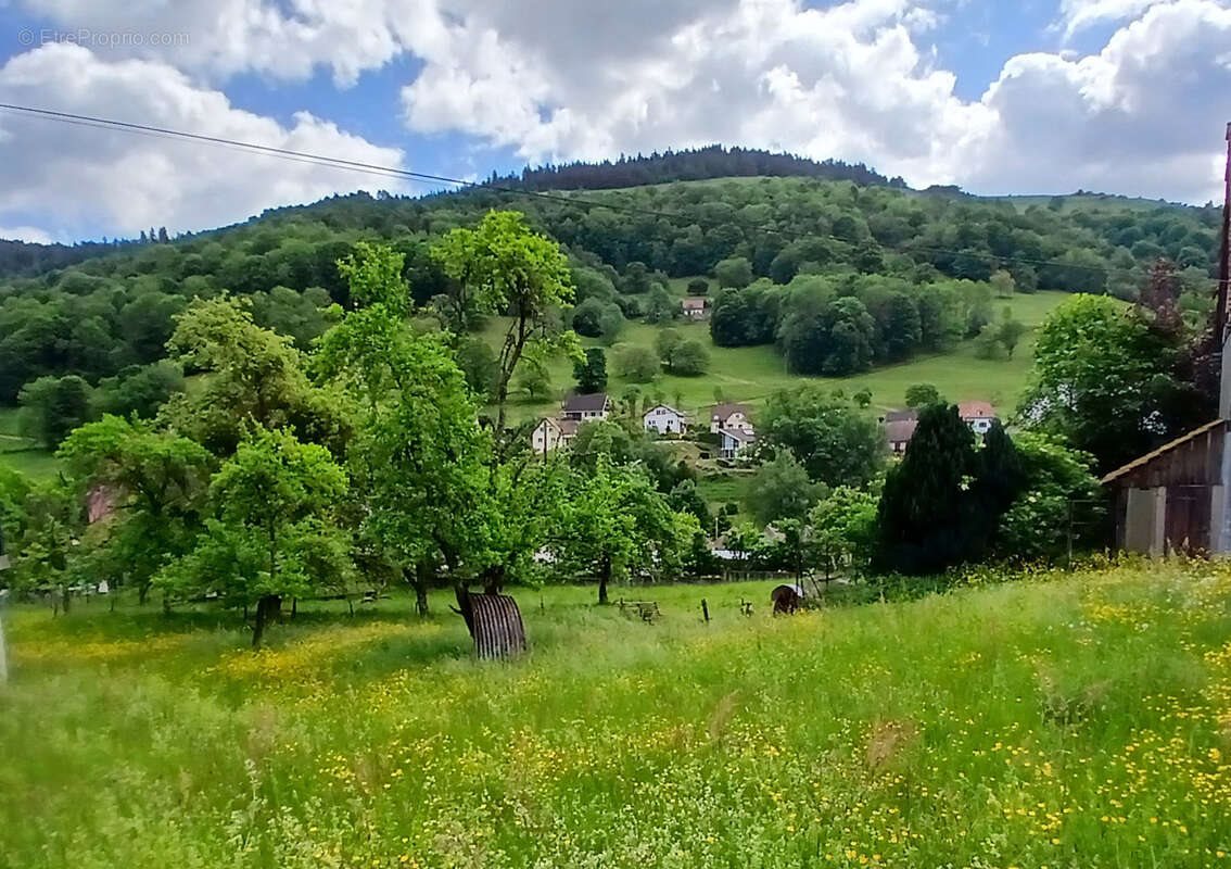 Maison à vendre, 85m², Sondernach