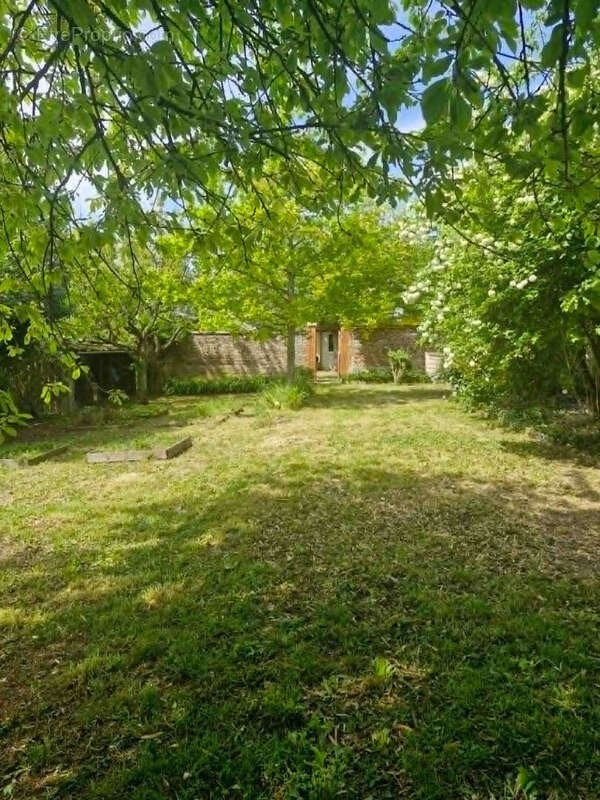 Maison à vendre, 130m², Albert