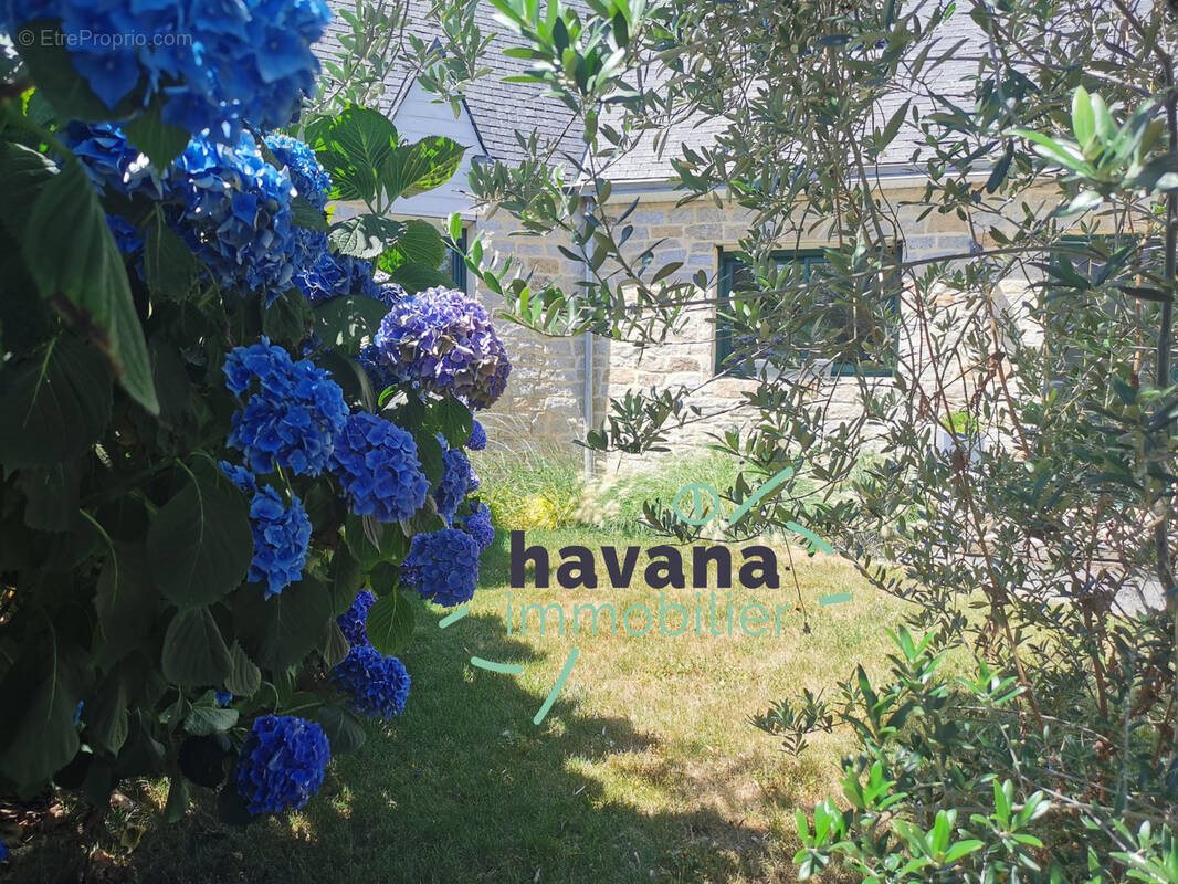 Maison à vendre, 150m², Saint-Avé