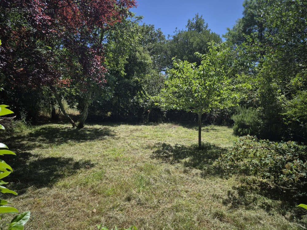Maison à vendre, 185m², Auch