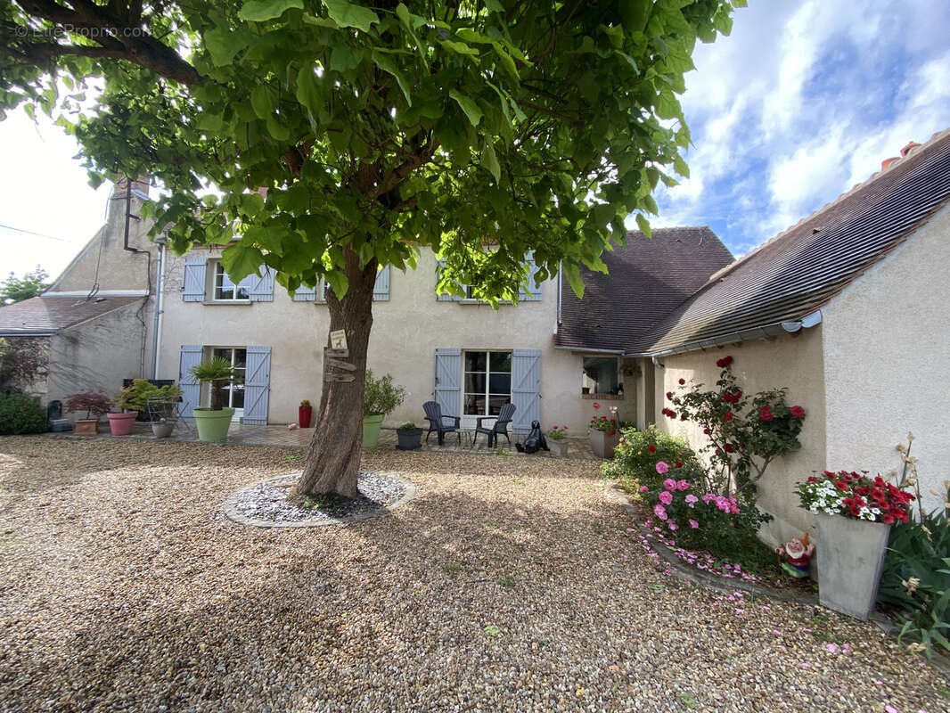 Maison à vendre, 241m², Olivet