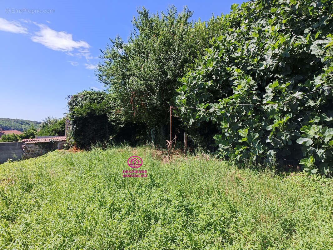 Maison à vendre, 130m², Roussillon