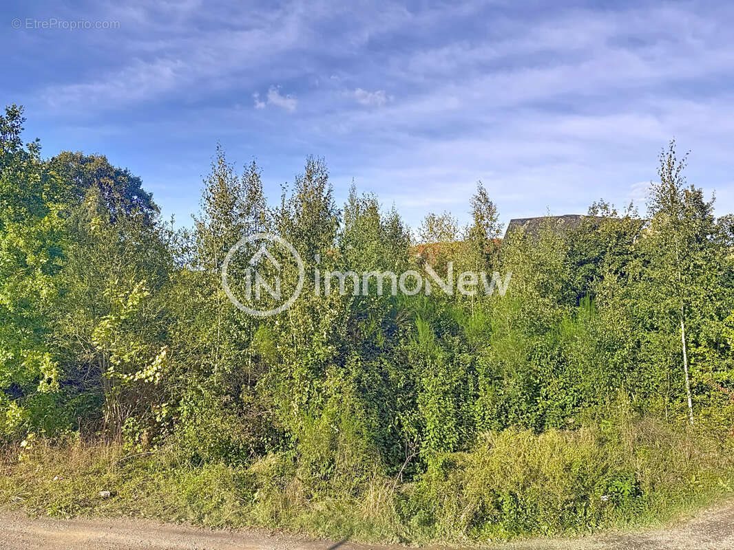 Maison à vendre, 100m², Saint-Quentin-sur-le-Homme