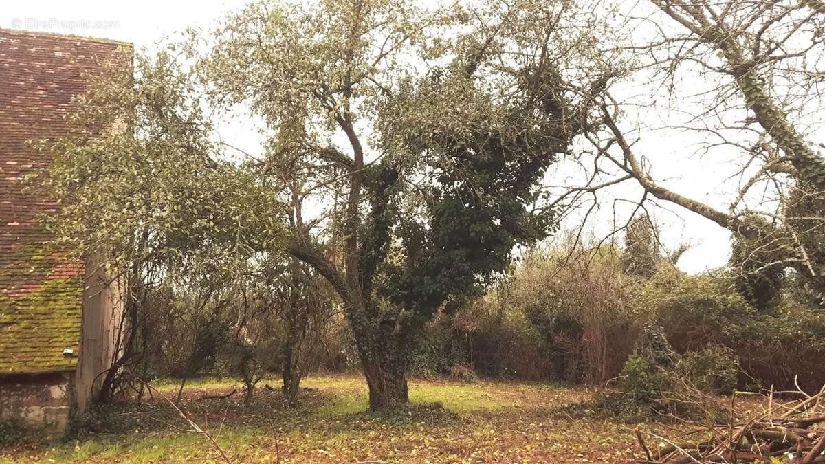 Maison à vendre, 72m², Dun-le-Palestel