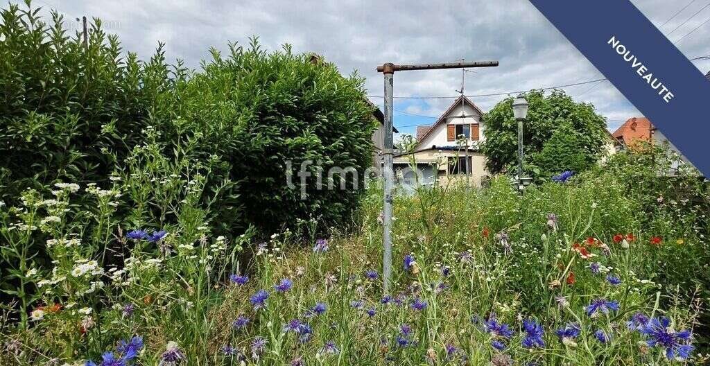 Maison à vendre, 93m², Rossfeld