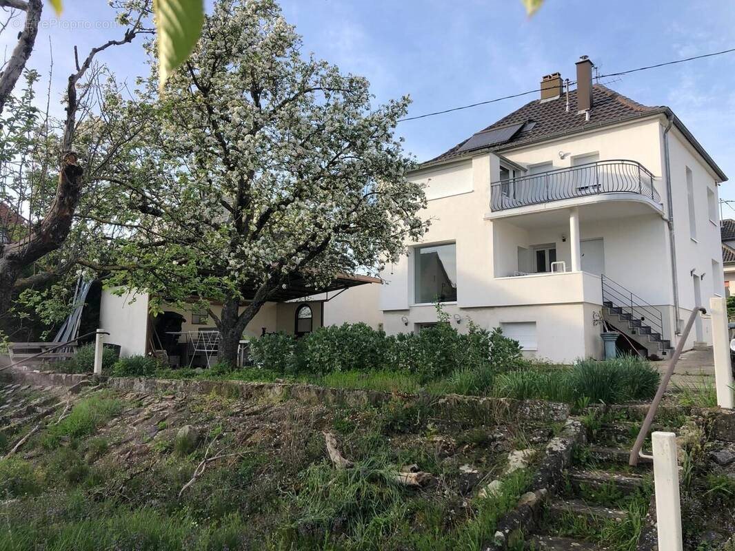 Maison à vendre, 159m², Mommenheim
