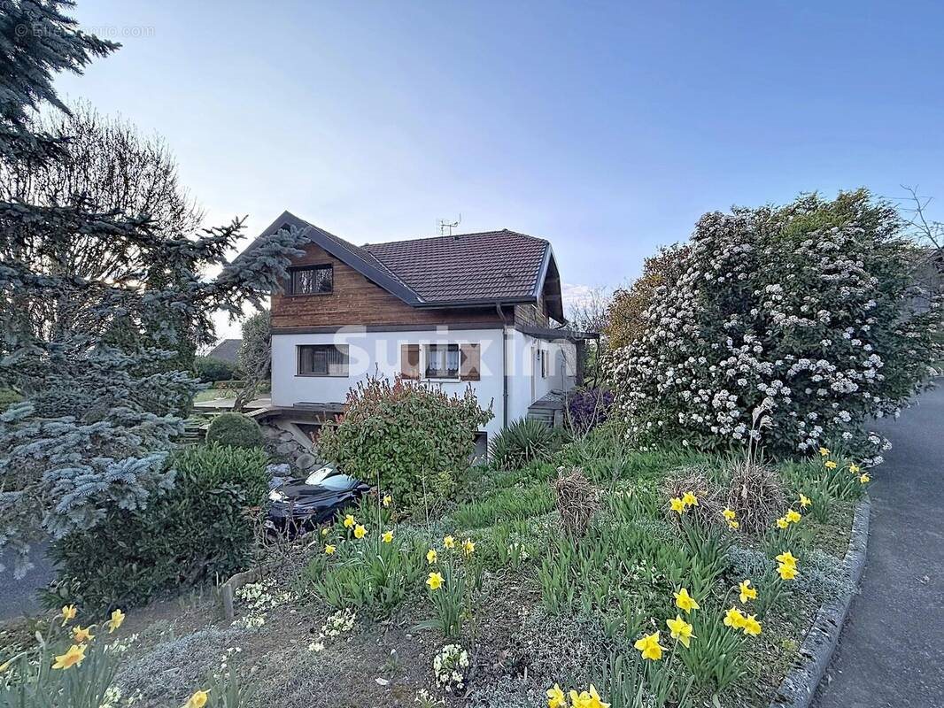 Maison à vendre, 176m², Ballaison