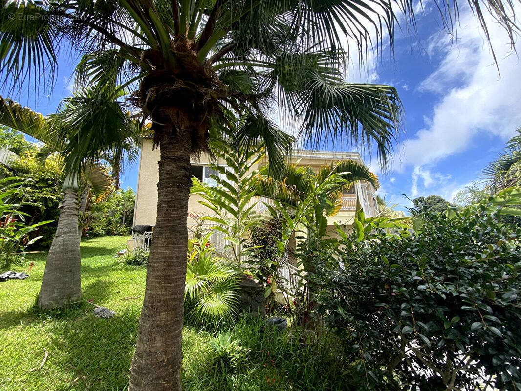 Maison à vendre, 255m², Le Tampon