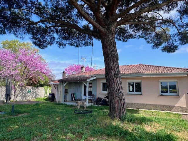 Maison à vendre, 125m², Saubens