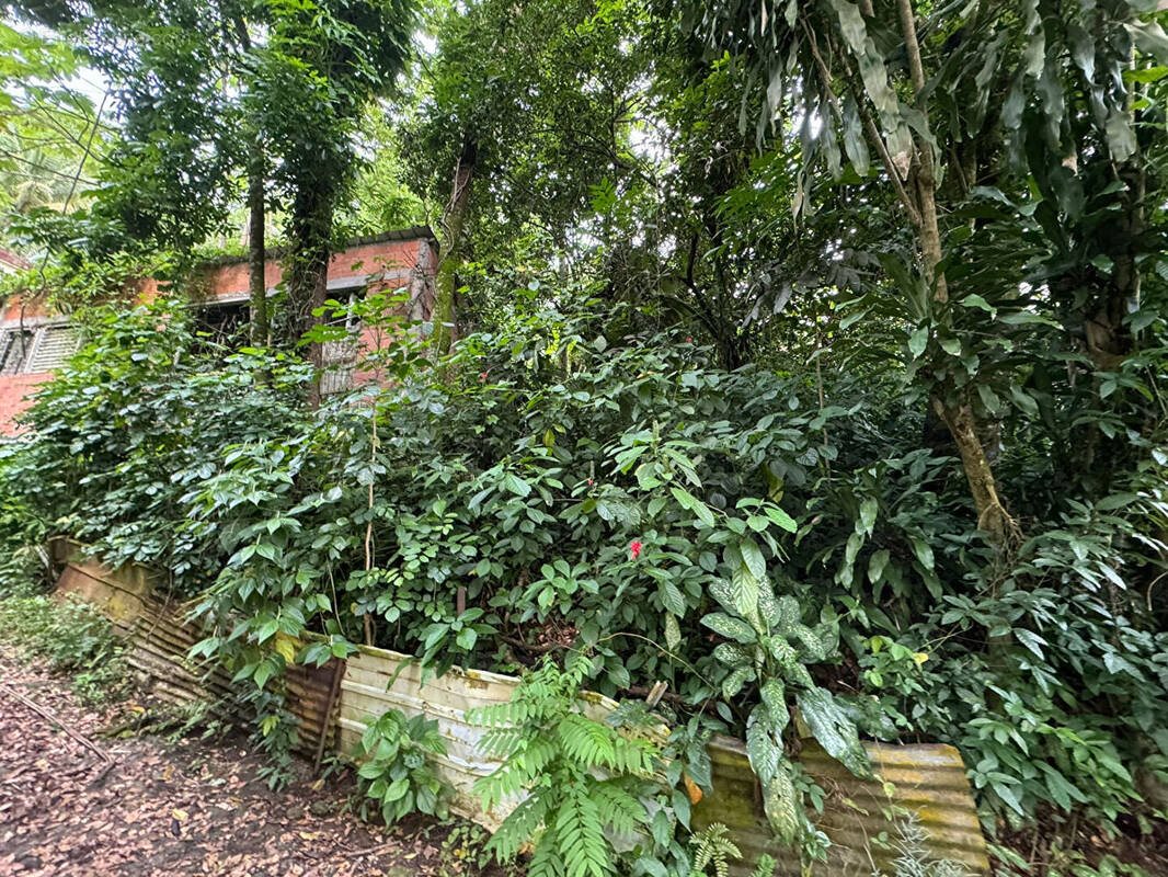 Maison à vendre, 65m², Le Robert