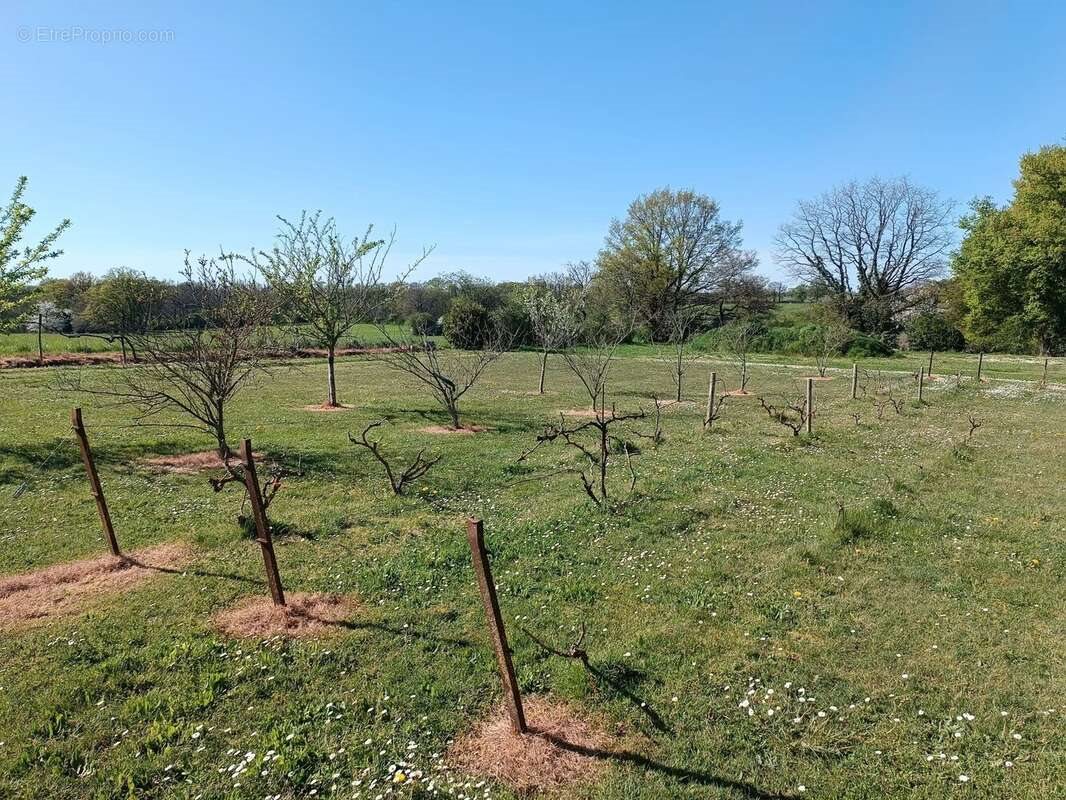 Maison à vendre, 145m², Montmorillon