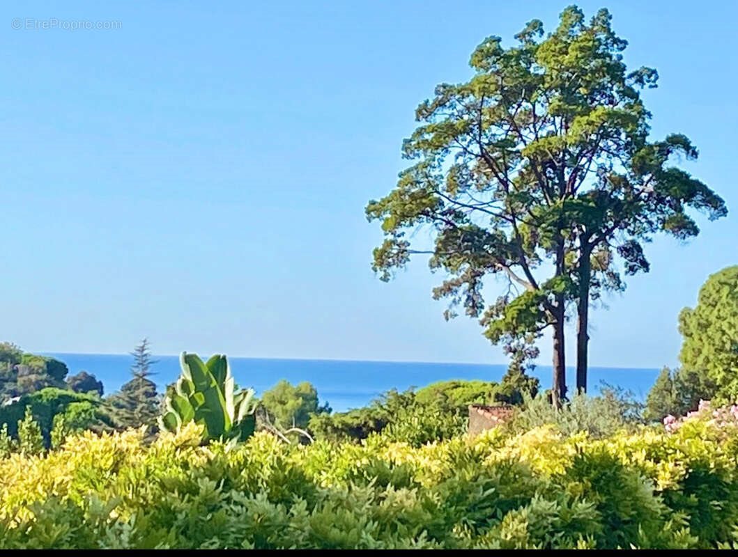 Maison à vendre, 1000m², Cannes
