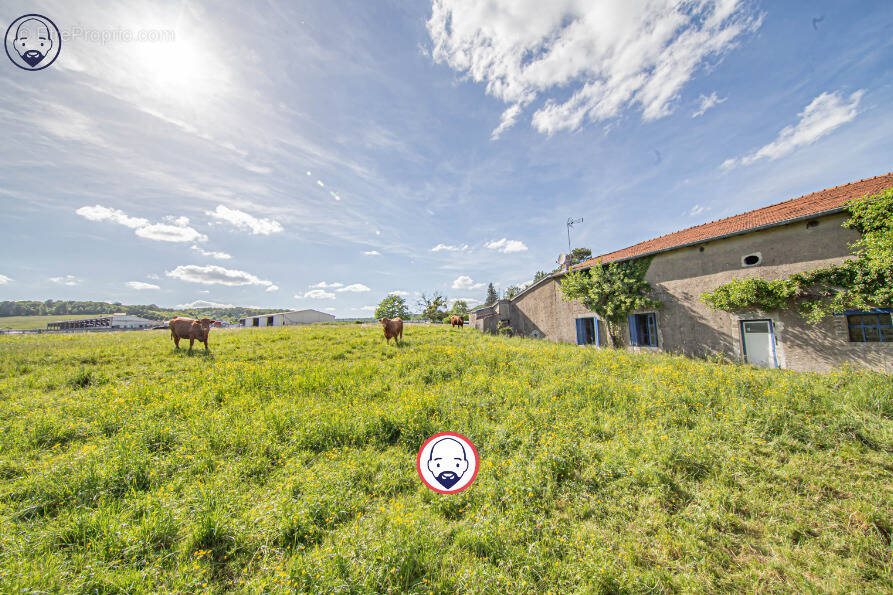 Maison à vendre, 114m², Void-Vacon