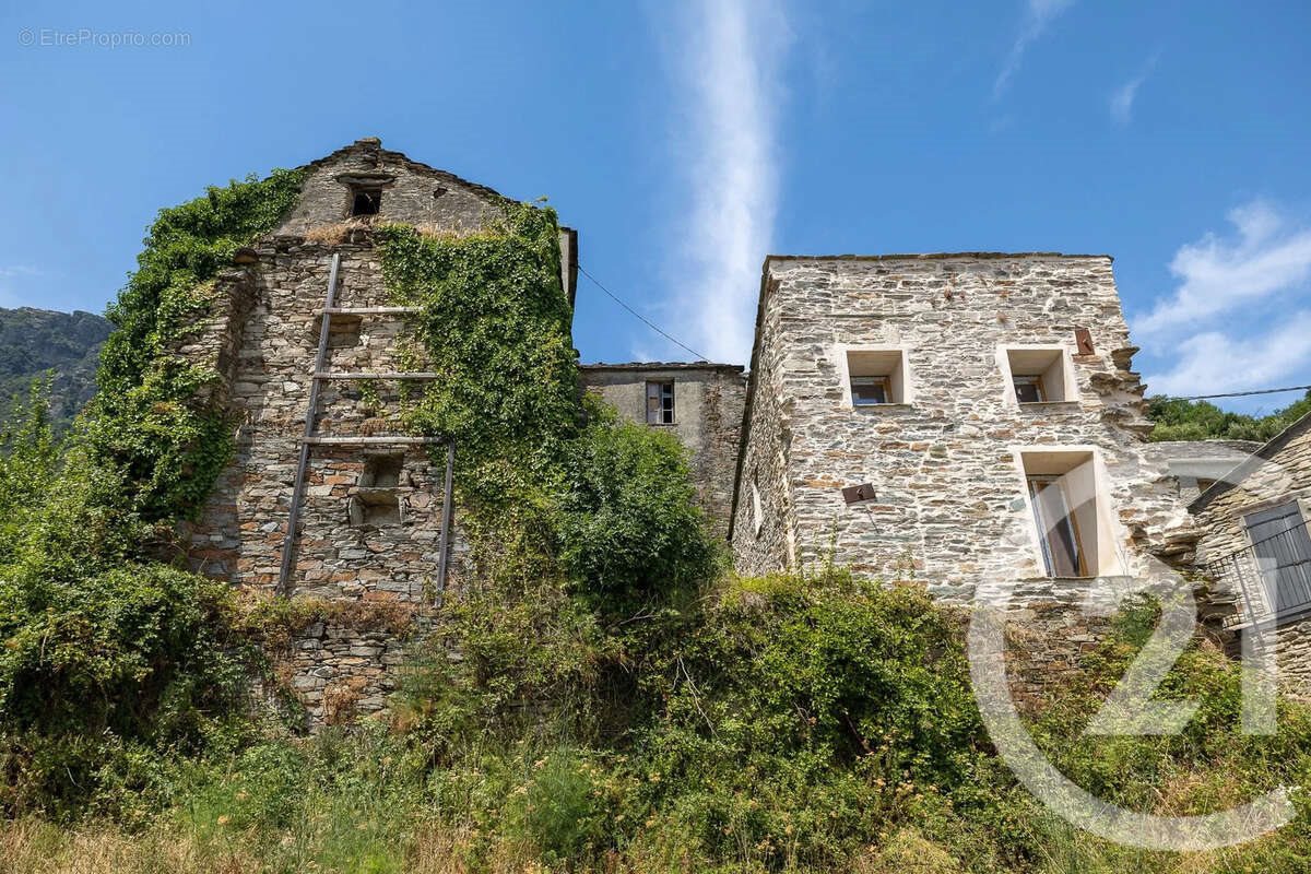 Maison à vendre, 528m², Sisco