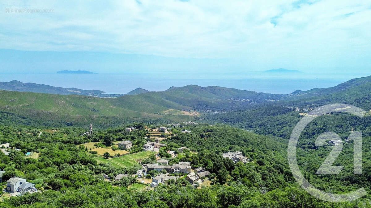 Maison à vendre, 528m², Sisco