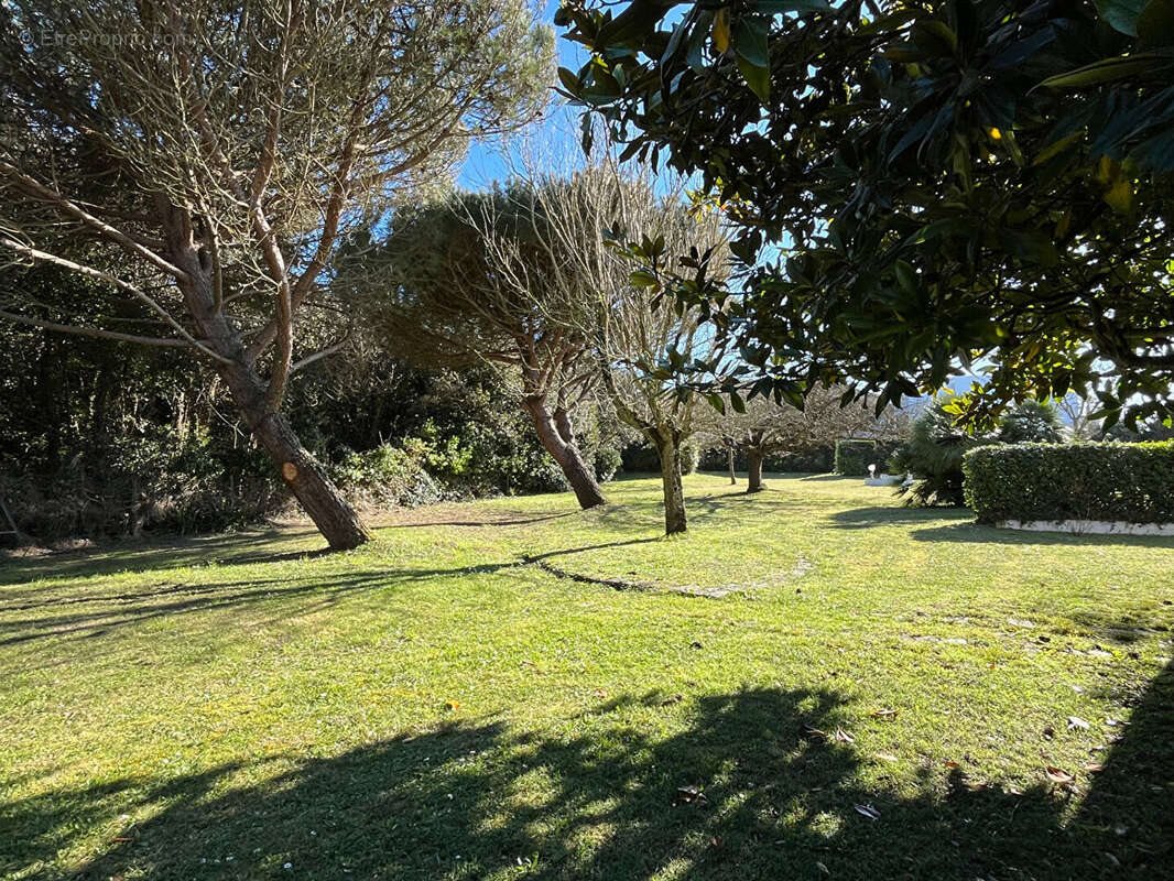 Maison à vendre, 284m², Dolus-d'Oléron