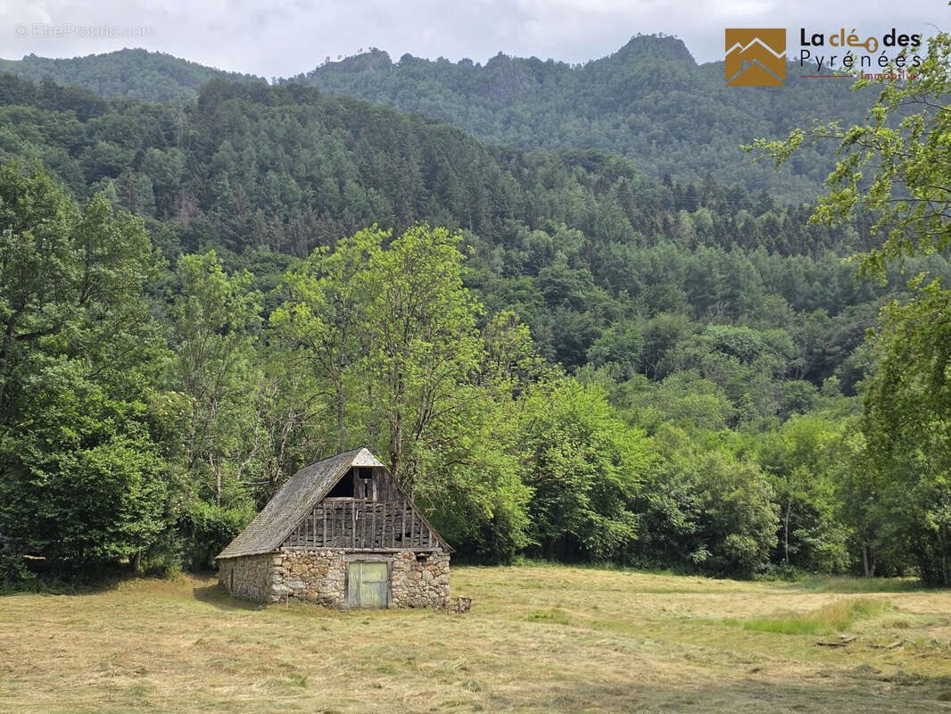 Maison à vendre, 130m², Arrens-Marsous