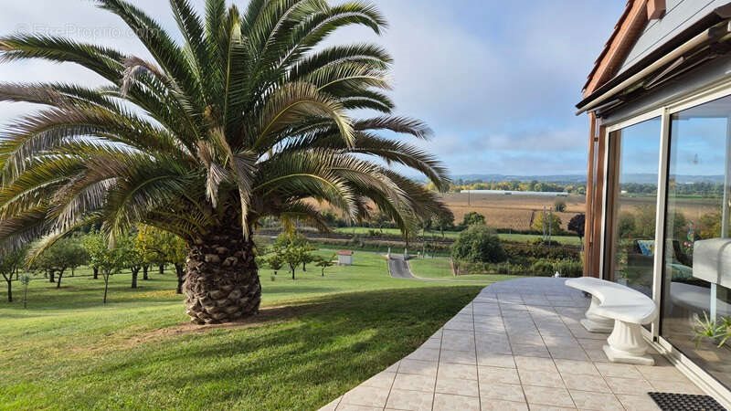 Maison à vendre, 102m², Port-Sainte-Marie