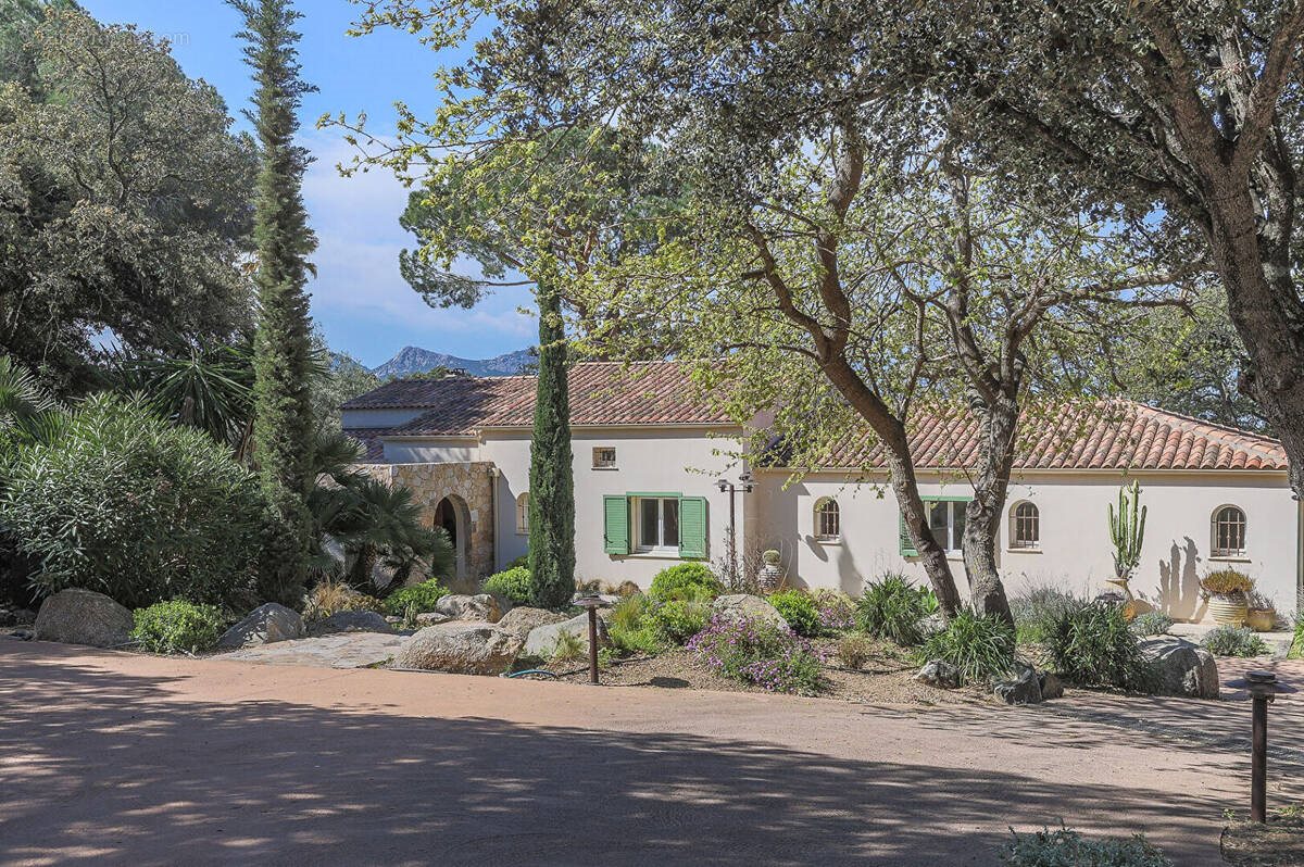 Maison à vendre, 243m², Lumio